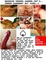 Swingersmarkt.nl - 4/7