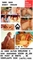 Swingersmarkt.nl - 6/7
