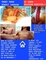 Swingersmarkt.nl - 4/7