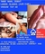 Swingersmarkt.nl - 3/6